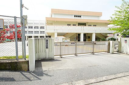 福岡市立大池小学校 560m(7分)