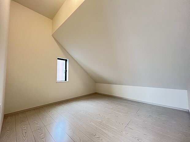 【洋室】小屋裏収納スペース