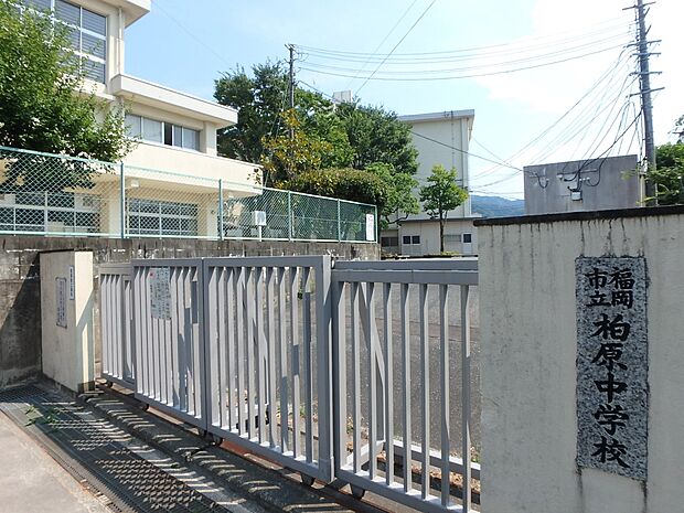 福岡市立柏原中学校（約850m・徒歩11分）