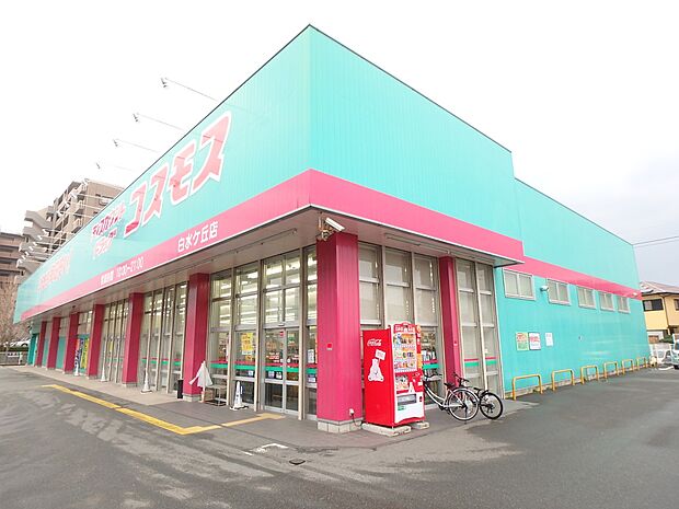 ドラッグストアコスモス白水ヶ丘店（約900m・徒歩12分）