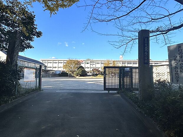平尾小学校（約900m）