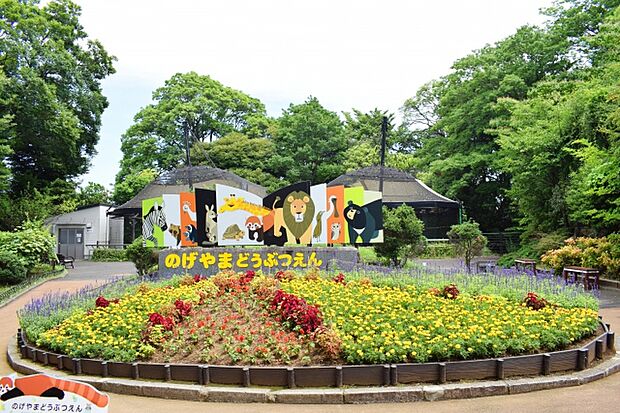 身近に「野毛山動物園」があり、気軽に自然や動物とふれあえる環境です。お散歩ついでに立ち寄れる距離で、休日の楽しみがぐっと広がるロケーション。家族でのんびり過ごす時間にもぴったりの住環境です。