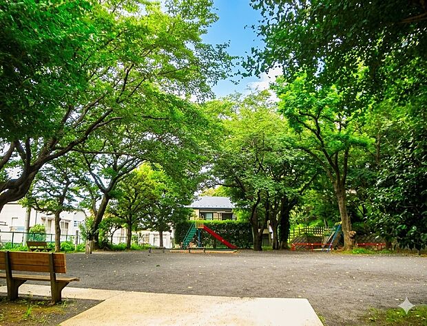 「三ツ沢公園」まで徒歩7分!豊かな緑に囲まれた広大な総合公園で、散策路や芝生広場、スポーツ施設が充実した地域の人気スポットです。園内には陸上競技場や球技場などが整備され、日常のウォーキン