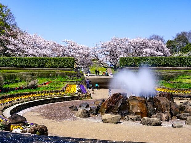四季の森公園まで240m。45.3ヘクタールの広大な敷地には、四季折々の花や生き物、里山の風景を楽しむことができます。