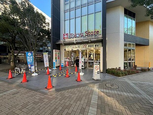 東急ストア仲町台店(約1,300m)