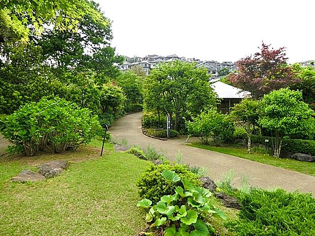 馬場花木園（約850m）