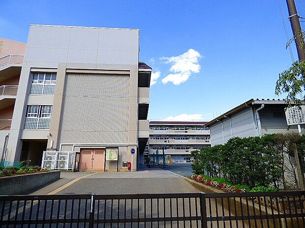 森の台小学校（約1,000m）