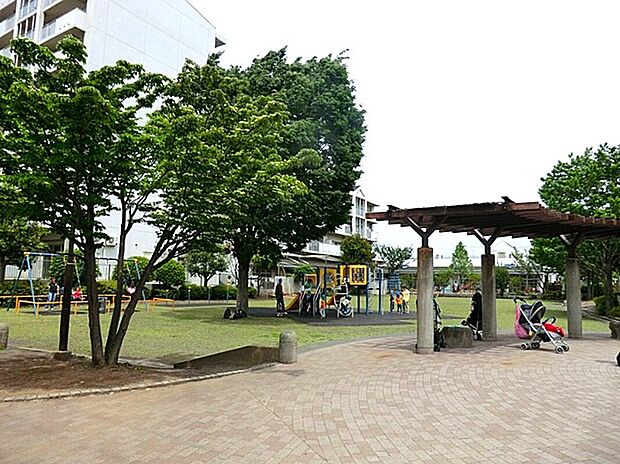 長津田公園（約500m）