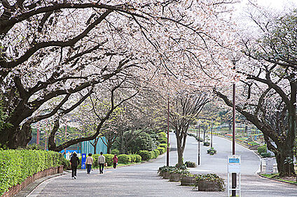 三ツ沢公園 450ｍ