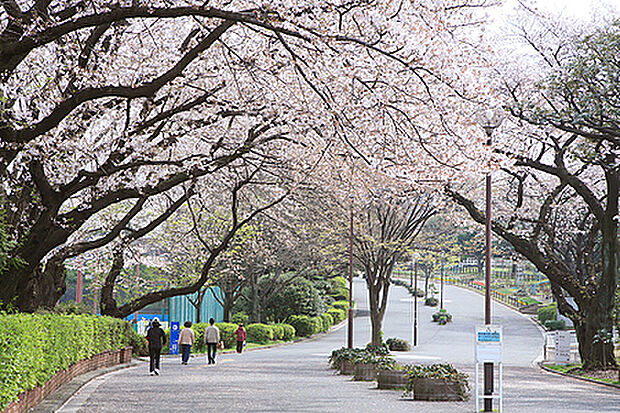 三ツ沢公園（約450m）