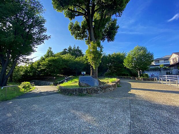 長津田みなみ台公園（約600m）