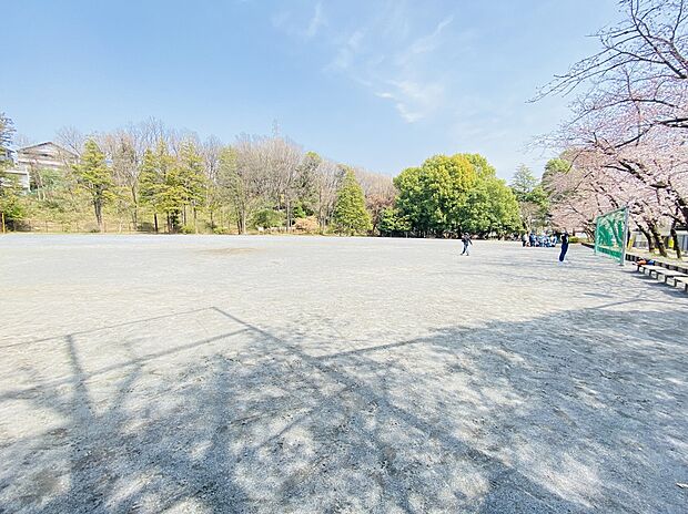 宮崎第四公園(約900m)