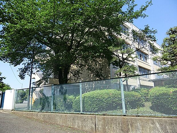 川崎市立平小学校(約750m)