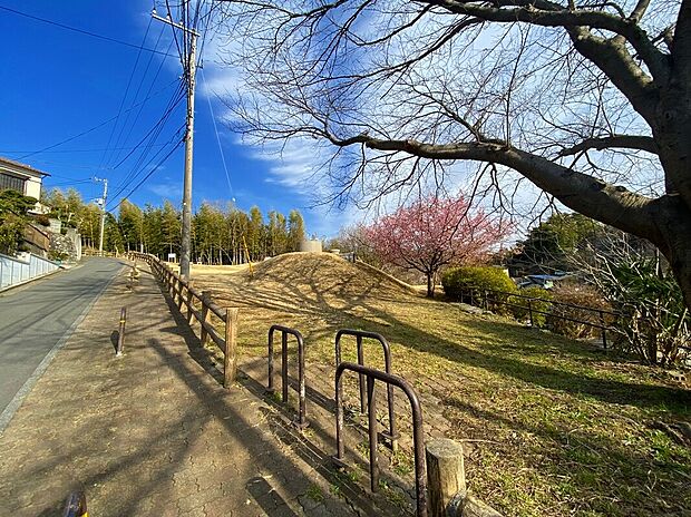新井町公園（約1,100m）
