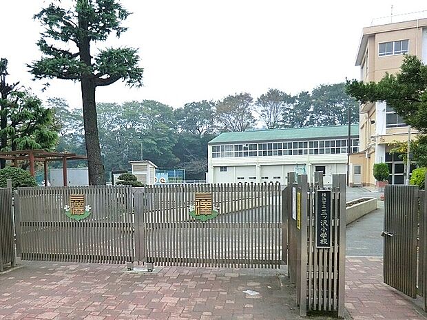 横浜市立三ツ沢小学校（約550m）