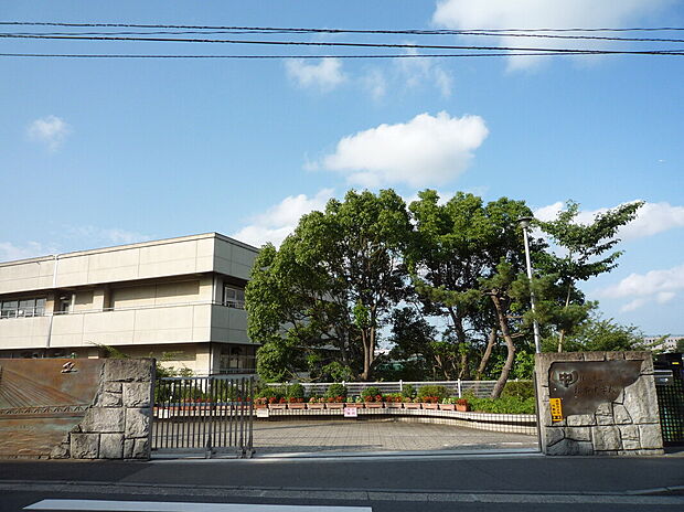 横浜市立松本中学校（約550m）