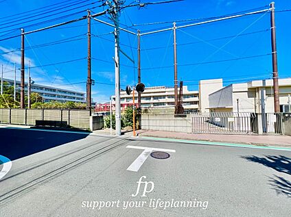 横浜市立富士見台小学校 500ｍ