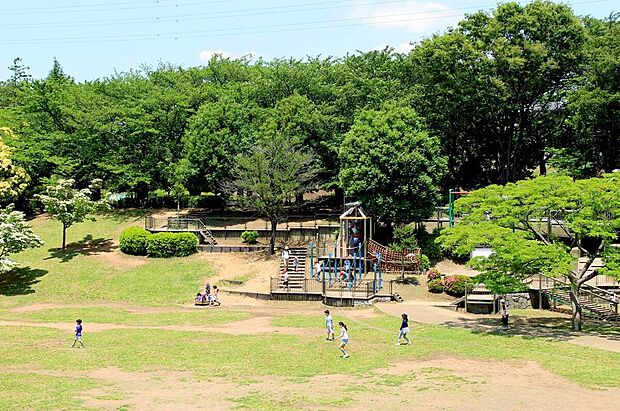 岸根公園（約70m）