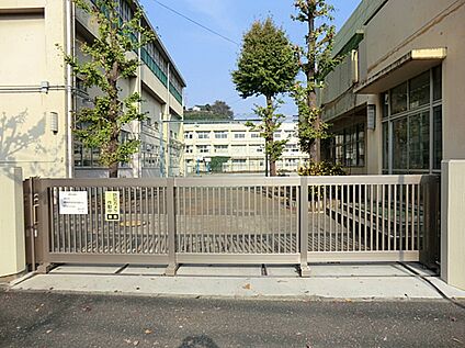 横浜市立星川小学校 500ｍ