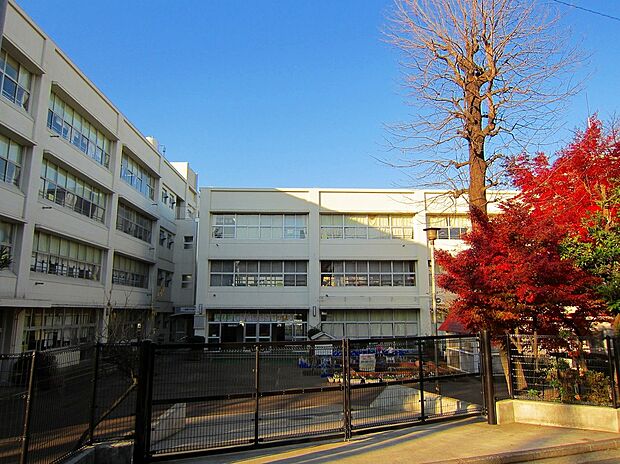 港北小学校(約500m)