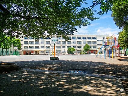 横浜市立常盤台小学校 500ｍ