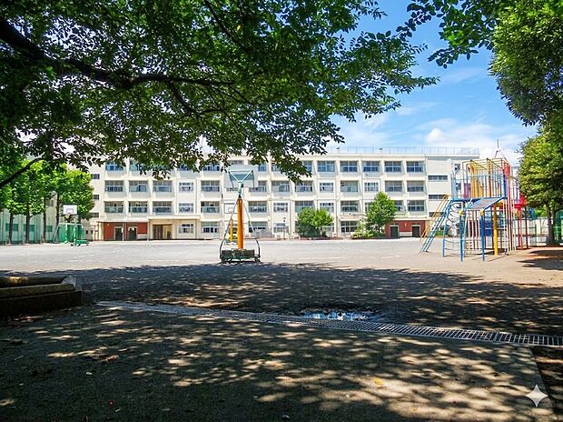 横浜市立常盤台小学校(約500m)