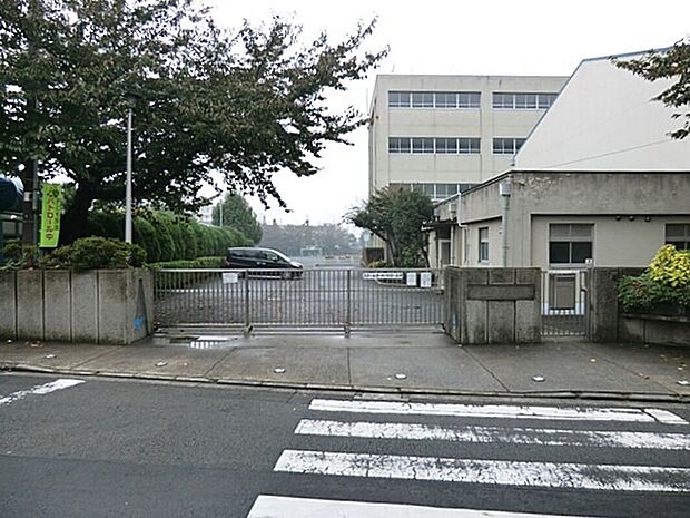 横浜市立浦島小学校（約300m）