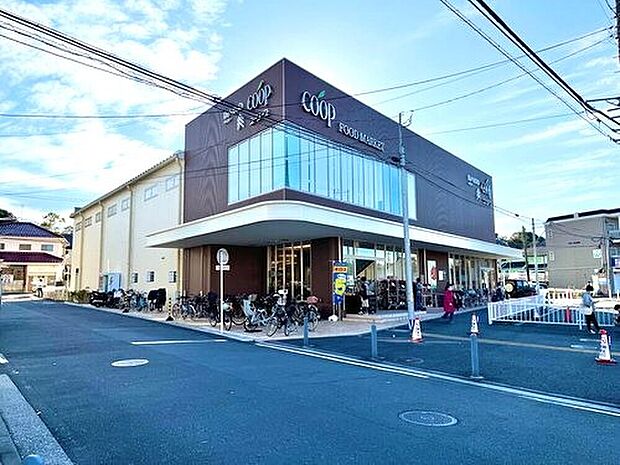 ユーコープ神大寺（約500m）