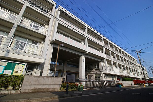 横浜市立神奈川中学校（約500m）