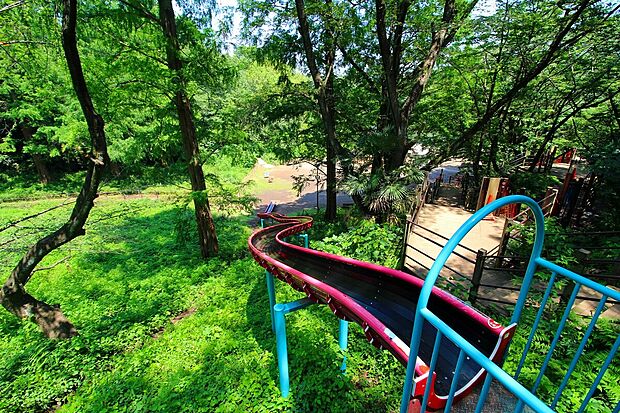 三ツ池公園(約2m)