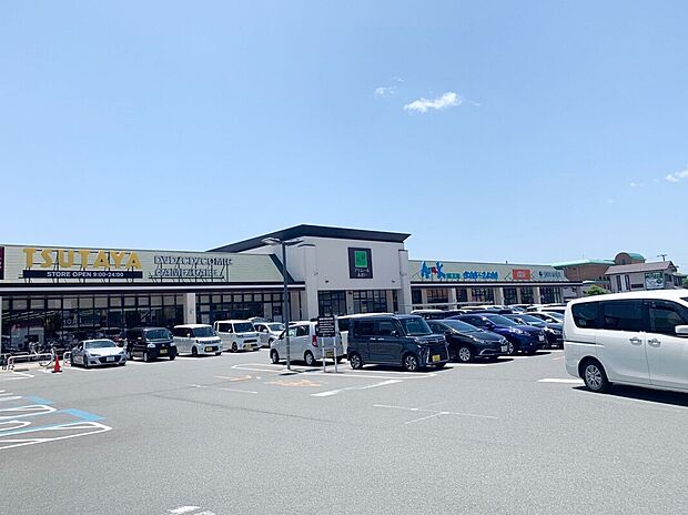 プリムールあおい