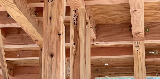【木造(軸組工法)】木の柱と梁を組み合わせて建物を支える、日本で広く採用されている工法です。間取りの自由度が高く、敷地条件や暮らし方に合わせた住まいづくりに適しています。