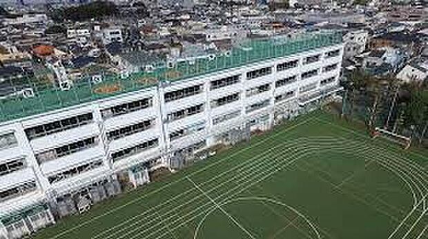 目黒区立油面小学校(約249m)