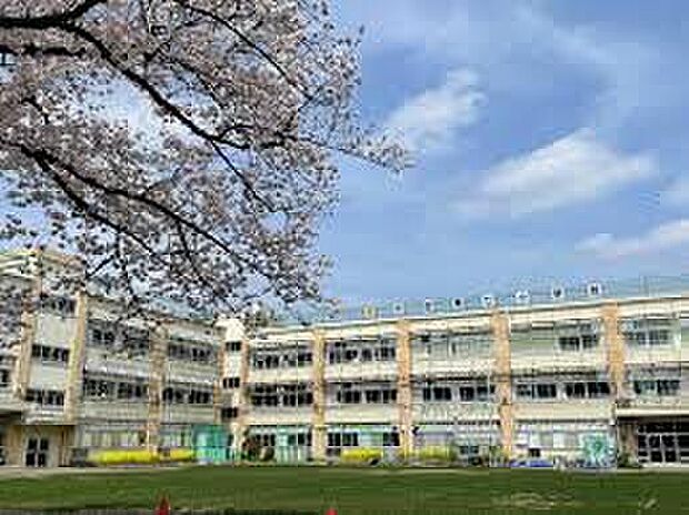 杉並区立杉並第七小学校（約448m）