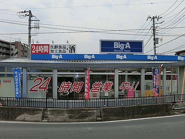 ビッグ・エー八千代大和田店（約245m）