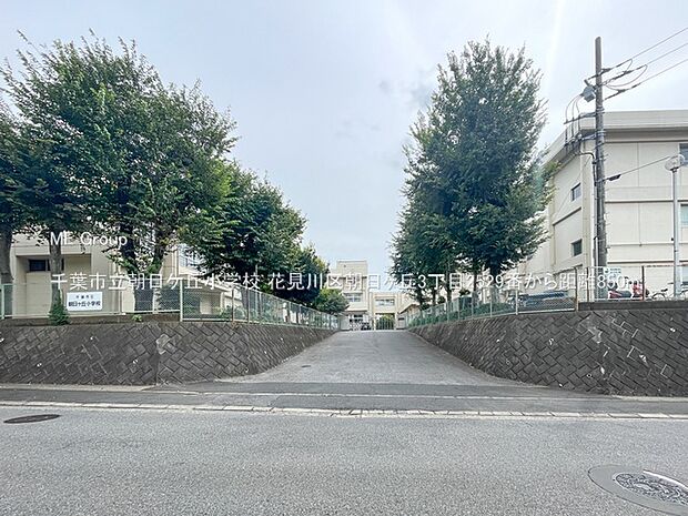 千葉市立朝日ケ丘小学校(約850m)