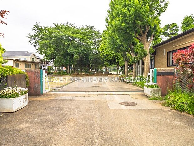 柏市立豊小学校（約130m・徒歩2分）
