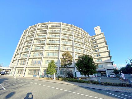 東京西徳洲会病院 約700m