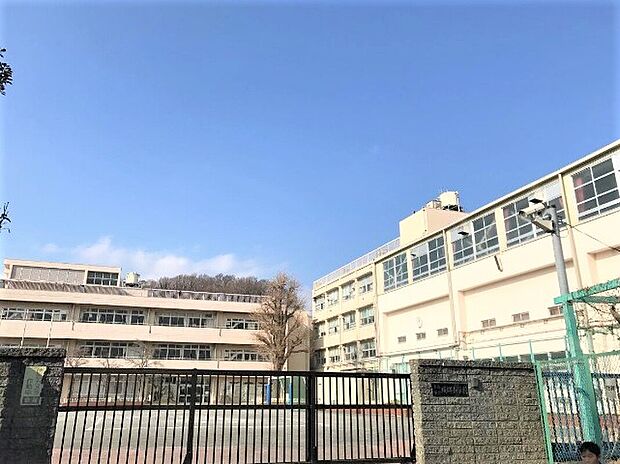 横浜市立城郷小学校（約3,100m）