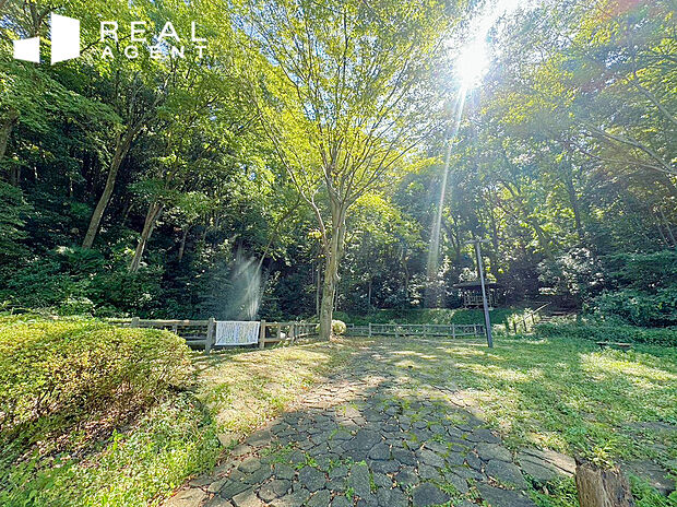 獅子ヶ谷市民の森（約650m）