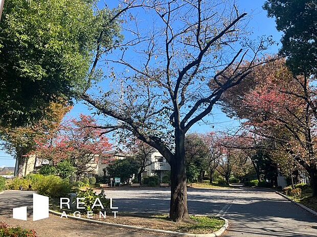 新田緑道（約690m）