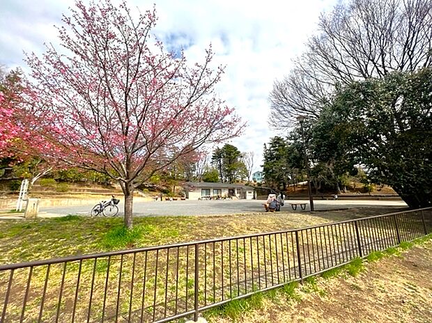 梅が丘第三公園（約210m）