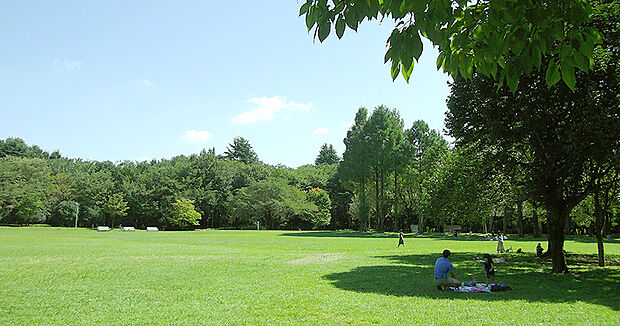 彩の森入間公園