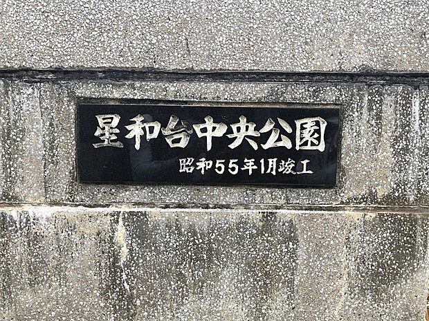星和台中央公園（約55m）