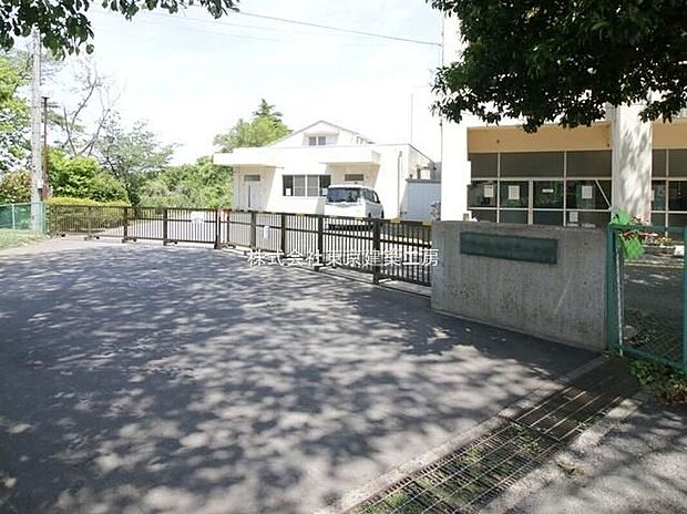 佐倉市立南志津小学校(約666m)