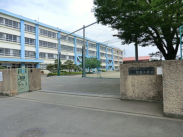 茅ヶ崎市立円蔵小学校（約830m）
