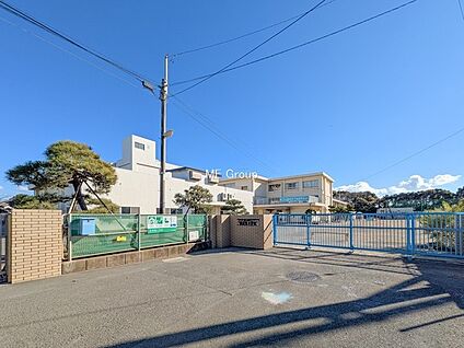 茅ヶ崎市立浜須賀小学校 700m(9分)