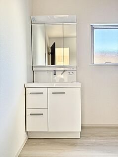 ハンドシャワー付洗面台