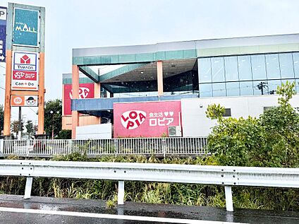 ロピア 開成店 2300m(29分)