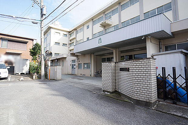 小田原市立山王小学校(約320m・徒歩4分)